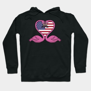 Flamingo USA Hoodie